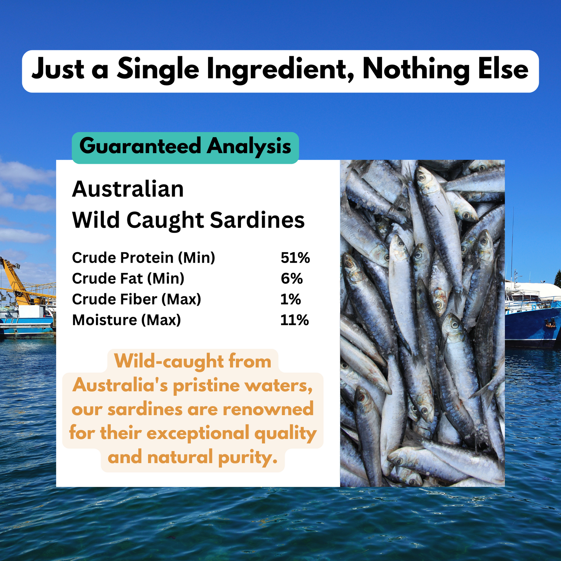 ALFIE'S TREATOS Dried Fish Dog Treats - Sardines for Dogs - Smooch & Scratch
