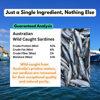 ALFIE'S TREATOS Dried Fish Dog Treats - Sardines for Dogs - Smooch & Scratch