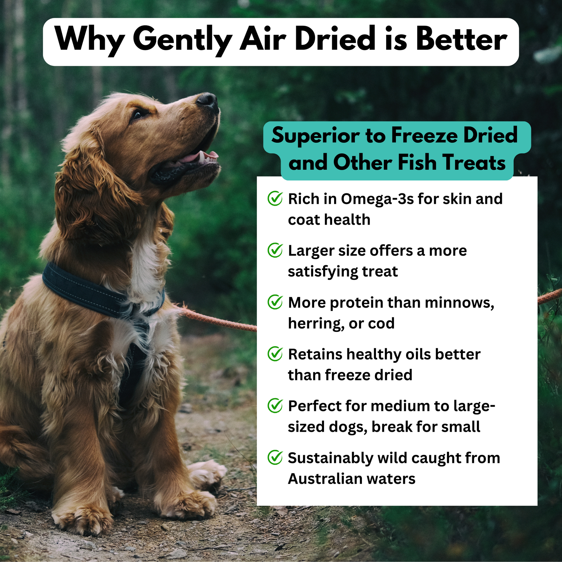 ALFIE'S TREATOS Dried Fish Dog Treats - Sardines for Dogs - Smooch & Scratch