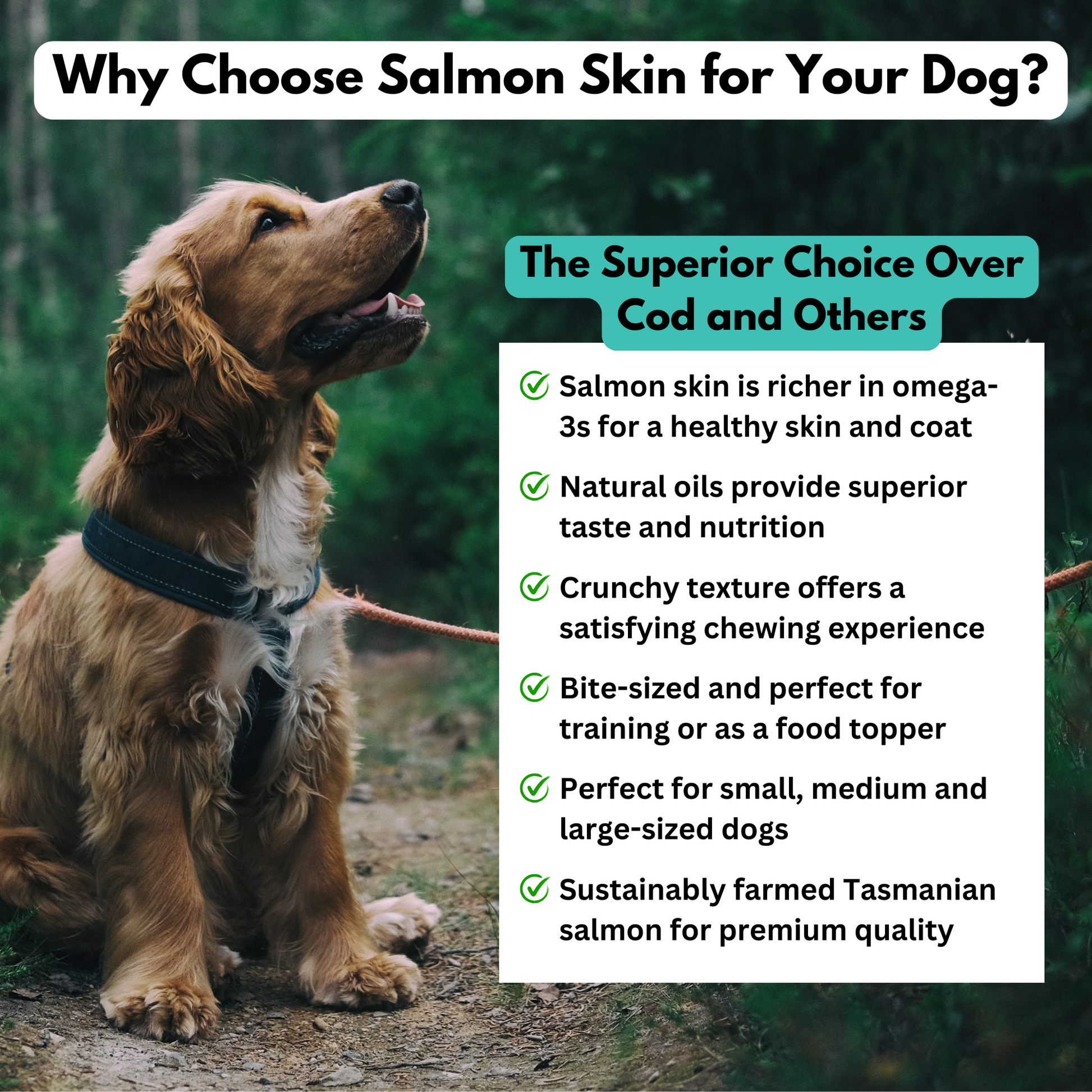 ALFIE'S TREATOS Fish Skin Dog Treats - Salmon Skin Treats for Dogs - Smooch & Scratch