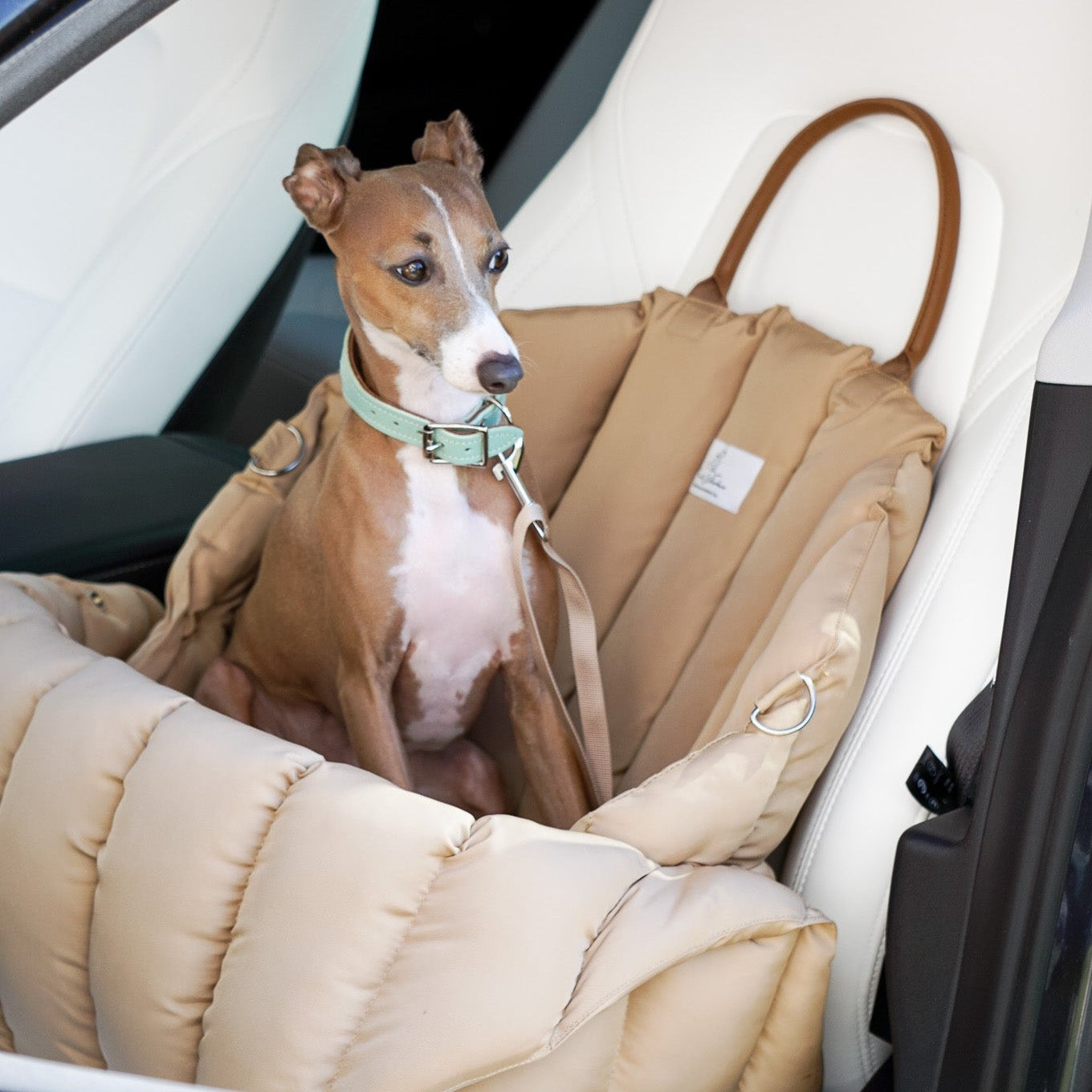 Car Seat Bag - Smooch & Scratch