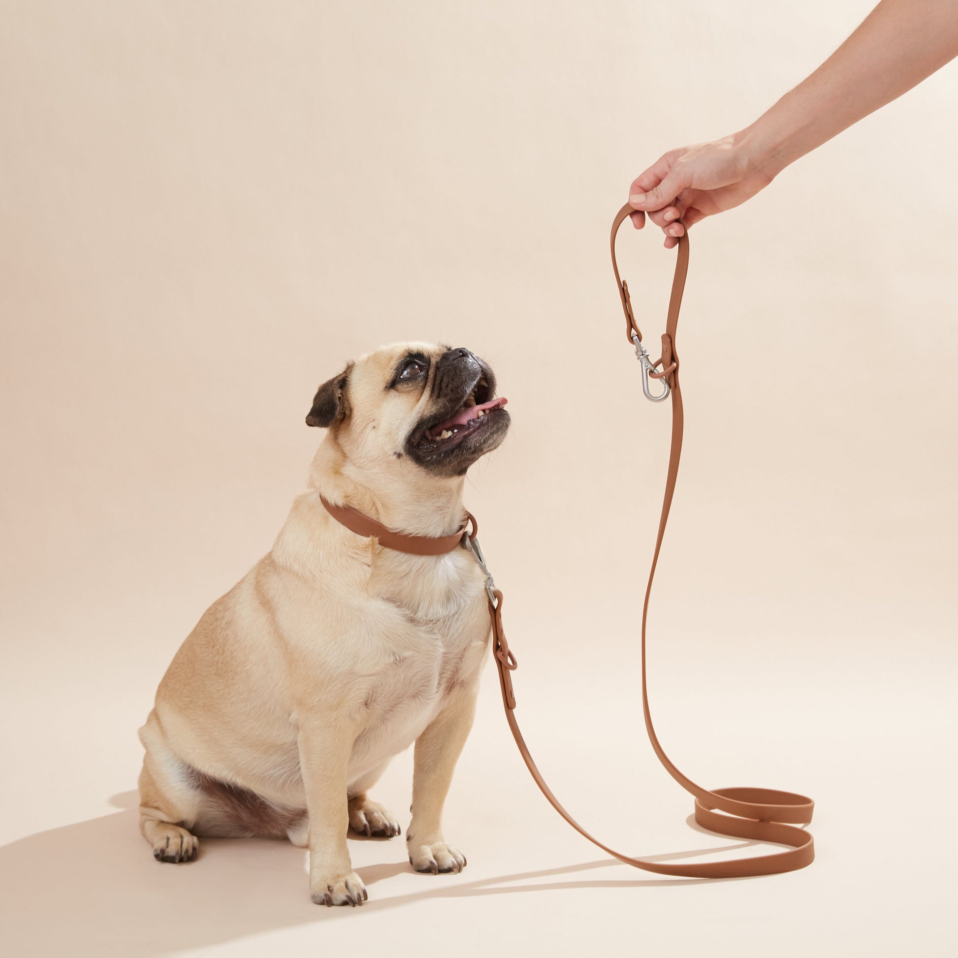 Collar Set - Smooch & Scratch