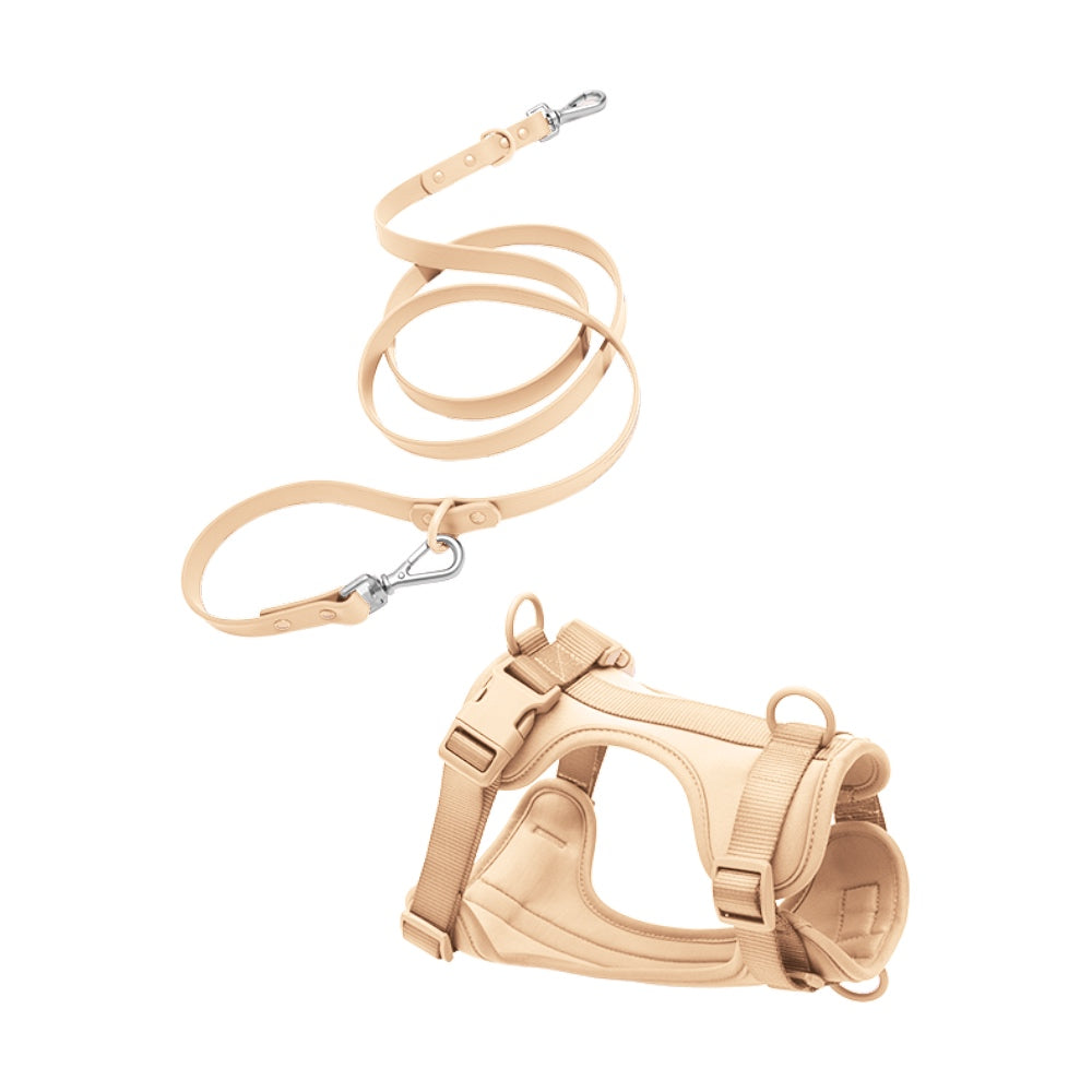 Harness Set - Smooch & Scratch
